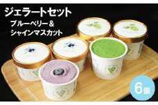 [農家直送]ジェラートミックス　ブルーベリー＆シャインマスカット［持田農園］