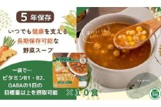 【からだを想う野菜スープ】ひよこ豆カレー10食セット/レトルト/食物アレルギー対応/長期保存/防災食