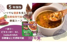【からだを想う野菜スープ】和風五目30食セット/レトルト/食物アレルギー対応/長期保存/防災食