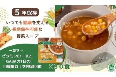 【からだを想う野菜スープ】ひよこ豆カレー30食セット/レトルト/食物アレルギー対応/長期保存/防災食