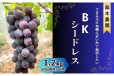 「できるだけ有機に近い形で栽培したい」 桑本農園のBKシードレス　1.2kg（600g前後×2房）