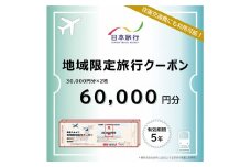 島根県出雲市　日本旅行　地域限定旅行クーポン60,000円分