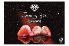 Jewelry Box ルビーのいちご DAIFUKU（一箱6個入り)