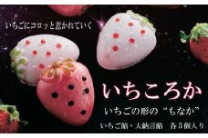 もなか　いちころか　10個入り
