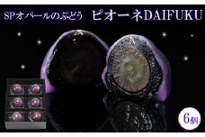 SPオパールのぶどう　ピオーネ　1箱6個入