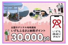出雲市 デジタル地域通貨「いずも縁結びPAY」 いずもふるさと納税ポイント30,000pt（1pt＝1円）【30,000円分 電子決済 キャッシュレス 飲食 宿泊 体験 電子マネー 島根県 出雲市】