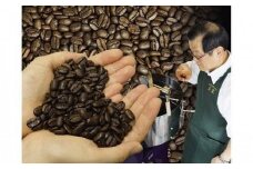【挽き方：中細挽き】お家でカフェ♪アメリカンスペシャリティ認定豆180ｇ×3袋