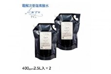 電解次亜塩素酸水　400ppm　【2.5L   2個セット】　除菌・消臭