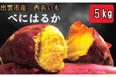 西浜いも（べにはるか）5kg