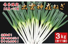 出雲神在（かみあり）ねぎ