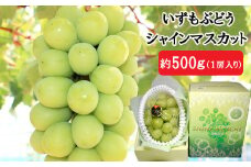 いずもぶどう　シャインマスカット(500ｇ見当)