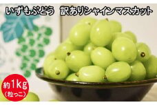 いずもぶどう　訳ありシャインマスカット（粒っこ）