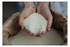 2025年度産　きぬむすめ5キロ