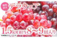 益田産デラウェア【約8～9房程度 1.5kg相当 先行予約 数量限定 期間限定 季節限定 早期予約 果物 くだもの フルーツ 葡萄 ぶどう ブドウ デラウエア 】