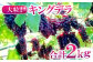 普通のデラウェアと比べて房、粒の大きさが2倍ほど！
先行予約・数量限定です(^^♪