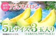 益田産アムスメロン　特大5Lサイズ（3玉入り）【先行予約 数量限定 期間限定 季節限定 早期予約 果物 くだもの フルーツ メロン アムスメロン 5L 3玉 青肉】