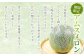 大人気のアムスメロン(^^)♪　数量限定・期間限定です！