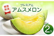 【先行予約】糖度厳選プレミアム アムスメロン 2玉【メロン 青肉 先行予約 めろん 糖度16度以上 季節限定 果物 くだもの フルーツ 期間限定 早期予約】