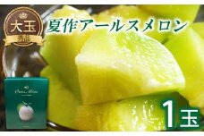 アールスメロン　秀品　大玉1玉【夏作】【メロン 大玉 先行予約 果物 くだもの フルーツ めろん アールスメロン 糖度14度以上 1玉 青肉 期間限定 季節限定 早期予約】