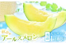 アールスメロン　秀品　大玉1玉【秋作】【メロン 大玉 先行予約 青肉 期間限定 季節限定 早期予約 果物 フルーツ アールスメロン めろん 秀品 1玉 秋作 10月上旬～10月下旬発送】