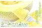 先行予約・数量限定！夏作アールスメロン 3L～5Lサイズ 2玉(*´▽｀*)