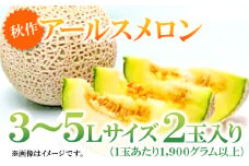 益田産アールスメロン（2玉入り）【秋作】【メロン 先行予約 3L～5Lサイズ 10月17日～10月30日発送 期間限定 季節限定 早期予約 青肉 果物 くだもの フルーツ メロン アールスメロン 2玉 秋作】