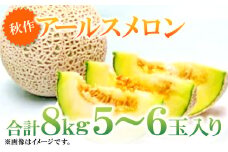益田産アールスメロン8kg（5～6玉入り）【秋作】【メロン 秋作 先行予約 5玉 6玉 期間限定 季節限定 早期予約 果物 くだもの フルーツ めろん アールスメロン 8kg 青肉】
