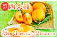 甘さたっぷり　益田特産　西条柿【柿 5kg 24～28玉 3L～2L 先行予約 果物 くだもの フルーツ かき 西条柿 高糖度 5キロ 期間限定 季節限定 早期予約】