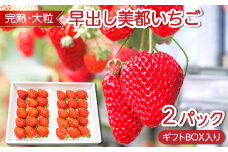 早出し 美都いちご（ギフトBOX）【いちご 12月発送 先行予約 果物 くだもの フルーツ 苺 イチゴ 美都いちご 平2パック 完熟 大粒 ギフト ギフトボックス入り 冷蔵 期間限定 季節限定 早期予約 12月上旬～12月20日頃発送】
