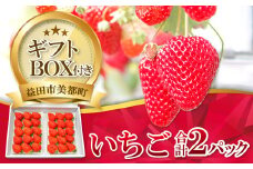 【先行予約】美都いちご（ギフトBOX）【いちご 2月発送 完熟 果物 くだもの フルーツ 苺 イチゴ ストロベリー 美都いちご 平2パック 大粒 ギフト ギフトボックス入り 冷蔵 先行予約 期間限定 季節限定 早期予約】