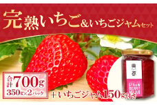【農家直送！】完熟いちご（350g×2パック）・いちごジャムセット（150g）【いちご 2月発送 先行予約 イチゴジャム 甘い 果物 フルーツ 苺 イチゴ ストロベリー 紅ほっぺ かおりの よつぼし おいCベリー 350g×2パック 新鮮 完熟収穫 加工食品 ジャム 無添加 150g 冷蔵 期間限定 季節限定 早期予約 1月～2月20日発送】