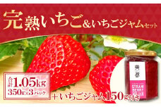 【農家直送！】完熟いちご（350g×3パック）・いちごジャムセット（150g）【先行予約 いちご イチゴジャム 甘い 2月発送 果物 フルーツ 苺 イチゴ ストロベリー あまい いちごジャム 紅ほっぺ かおりの よつぼし おいCベリー 350g×3パック 新鮮 完熟収穫 加工食品 ジャム 無添加 150g 冷蔵 期間限定 季節限定 早期予約】
