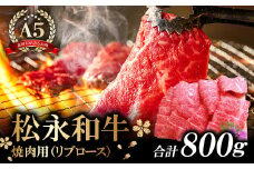 松永和牛 A5ランク 焼肉 800g【牛肉 焼肉 黒毛和牛 リブロース ロース 赤身 冷凍 焼肉用 800g ご褒美 贅沢 肉 和牛 松永和牛 まつなが牛 A5ランク お祝い 特別な日 ご馳走 パーティー セット 松永牧場】