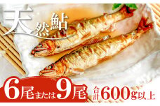 高津川天然鮎『CAS冷凍』600g（200g/袋×3）【天然鮎 200g/袋×3 合計9尾または6尾 600g以上 魚貝類 魚介類 魚 川魚 あゆ アユ CAS冷凍 高鮮度 塩焼き みそ焼き 天ぷら 鮎飯 甘露煮 冷凍 期間限定 季節限定 6月15日以降発送】
