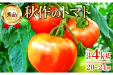 朝採り「真赤な益田SUNトマト」秀品20～24玉入【秋作】【先行予約 野菜 やさい トマト とまと 秀品 4kg 秋作 朝採れ 安心 安全 箱入り 期間限定 季節限定 早期予約】