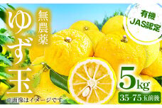 【有機JAS認定】無農薬 ゆず玉　5kg【先行予約 ゆず ゆず玉 果物 フルーツ 柚子 無農薬 安心安全 果皮 果汁 5kg 1kgあたり7～15個 期間限定 季節限定 11月～12月上旬発送】