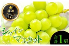 【先行予約】厳選プレミアム シャインマスカット 1房【ぶどう 先行予約 早期予約 葡萄 ブドウ シャインマスカット しゃいんますかっと マスカット 1房 種なし たねなし 冷蔵 期間限定 季節限定 果物 フルーツ くだもの】