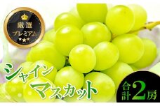 【先行予約】厳選プレミアム シャインマスカット 2房【先行予約 早期予約 ぶどう 葡萄 ブドウ シャインマスカット しゃいんますかっと マスカット 2房 種なし たねなし 冷蔵 期間限定 季節限定 果物 フルーツ くだもの】