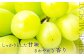 大粒のシャインマスカット