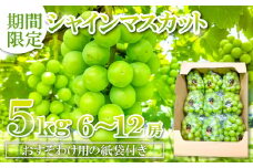 【先行予約】甘くて美味しい シャインマスカット 5kg（6～12房）【ぶどう シャインマスカット 先行予約 ぶどうシャインマスカット しゃいんますかっと 葡萄 ブドウ マスカット 5.0kg 6房～12房 種なし たねなし 皮ごと 大粒 紙袋付き おすそわけ 期間限定 季節限定 8月中旬～9月下旬発送】