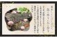 今では、店頭でも目にすることがめずらしい原木栽培の生しいたけ。