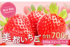 美都いちご（350g×2パック）【いちご 3月発送 先行予約 2パック 果物 フルーツ 苺 イチゴ 美都いちご 紅ほっぺ かおりの 350g×2パック 新鮮 冷蔵 期間限定 季節限定 早期予約】