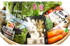 今が旬！新鮮野菜セット（3回コース）【定期便 定期 3回 野菜 12品以上 季節の野菜 旬 新鮮 おまかせ お楽しみ 詰め合わせ セット 冷蔵】