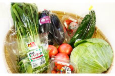 今が旬！新鮮野菜セット（8品目以上）【野菜 8品以上 旬の野菜 新鮮 お楽しみ 詰め合わせ セット 冷蔵】