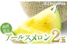 秋に食べたい！アールスメロン 2玉入り【メロン めろん 先行予約 期間限定 季節限定 早期予約 果物 フルーツ マスクメロン アールスメロン 2玉 秋作 青肉 糖度14度以上 10月発送】