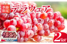 【先行予約】待ちきれないデラウエア 2kg【デラウェア 島根 先行予約 期間限定 季節限定 早期予約 果物 くだもの フルーツ 葡萄 ブドウ ぶどう】