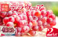今が旬！5月発送 数量限定 大切に育てられたデラウエア 強い甘みと酸味が楽しめます♪