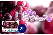 【先行予約】今が旬！デラウエア 2kg【デラウェア ぶどう 先行予約 2kg 期間限定 季節限定 早期予約 果物 くだもの フルーツ 葡萄 ブドウ】