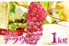 早出し 椋さんのこだわり デラウェア 1kg【デラウエア 先行予約 5～6房 果物 くだもの フルーツ ブドウ デラウェア ぶどう 葡萄 期間限定 季節限定 早期予約】
