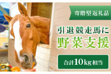 【思いやり型返礼品】引退競走馬に野菜支援【支援 野菜 果物 フルーツ 10kg相当 馬の好物 人参 バナナ さつまいも りんご 思いやり型返礼品 寄贈型 あしなが型 馬 引退競走馬 セカンドキャリア ホースセラピー 乗用馬 サラブレッド ディープインパクト産駒 マンハッタンカフェ産駒 ハービンジャー産駒 シビルウォー産駒】